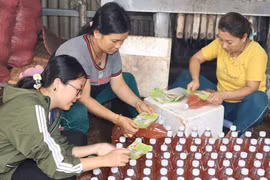 Dịch chuối: Sản phẩm hữu cơ phục vụ nông nghiệp sạch