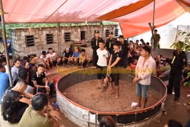 Ninh Bình: Bắt quả tang 91 'con bạc' ở sới gà, thu giữ tài sản nhiều tỷ đồng