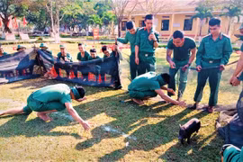 Tết của lính