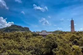 Top 3 điểm 'check-in' đẹp mê không thể bỏ lỡ ở Ninh Bình