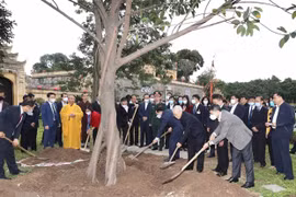 Vì màu xanh đất nước