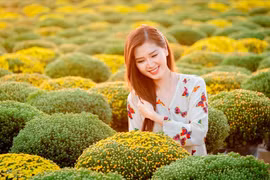 Đẹp ngỡ ngàng cánh đồng cúc mâm xôi lớn nhất miền Tây