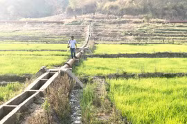 Gia Lai quan tâm đầu tư xây dựng công trình thủy lợi