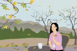 Đời thảo mộc