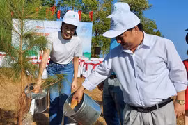 Phát động trồng cây "Vì một Việt Nam xanh" tại khu vực cầu treo Biển Hồ