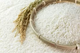 Hương gạo mới