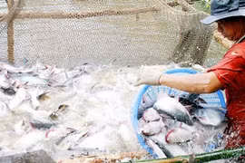 Công bố kết quả Tổng điều tra nông thôn, nông nghiệp và thủy sản 2016