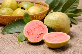 Những công dụng bất ngờ của cây ổi