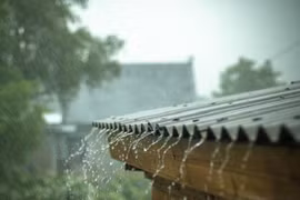 Tiếng mưa