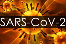 Tiệc cưới vẫn tưng bừng giữa đại dịch