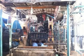 Công ty CP đường Bình Định như 'rắn mất đầu'