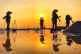 Mùa muối đắng