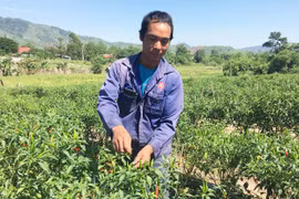 "Đầu tàu" ở Kte-Kchăng