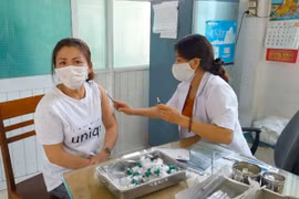 Ẩn họa từ chó thả rông