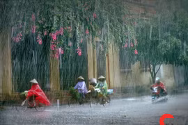 Mưa đầu mùa