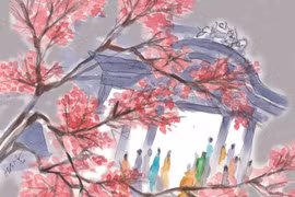 Hoa báo Xuân