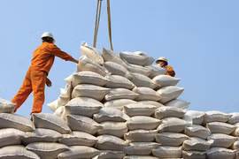 Phó Thủ tướng yêu cầu làm rõ vụ mở tờ khai XK gạo nửa đêm của Hải quan