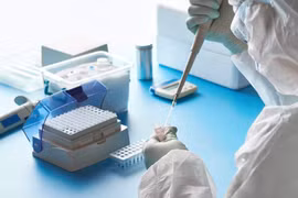 Giới khoa học Trung Quốc tìm thấy kháng thể "cực hiệu quả" chống lại Covid-19