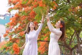 Khúc chớm hạ