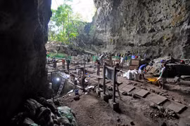 Tìm thấy bằng chứng về tông người tiền sử chưa từng được biết đến