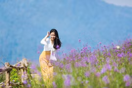 Lên Fansipan chiêm ngưỡng 'thung lũng hoa' đẹp ngỡ ngàng