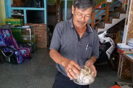 Gọi yến về Phố núi