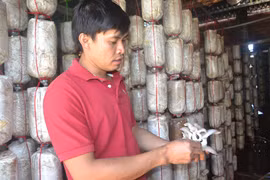 Hàng sạch từ nhà lên "chợ ảo"