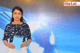 Gia Lai 48h: Nhức nhối tình trạng giả mạo nhãn hiệu