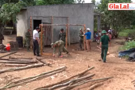 Tuổi trẻ Quân đoàn 3 xung kích tình nguyện vì cuộc sống cộng đồng
