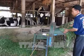 Trên 30 triệu lượt hộ nghèo được vay vốn chính sách