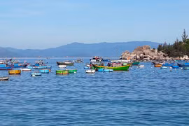 Khám phá Cù Lao Xanh