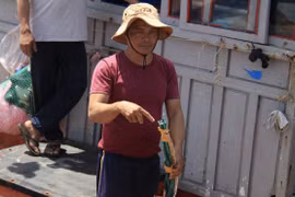 Hội Nghề cá Việt Nam phản đối tàu Trung Quốc lấy hải sản, đánh đập ngư dân Quảng Ngãi