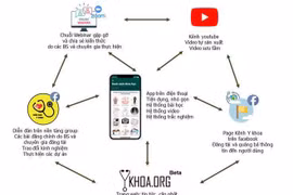 Bác sĩ trẻ phát triển 'hệ sinh thái y khoa online' giữa dịch Covid-19