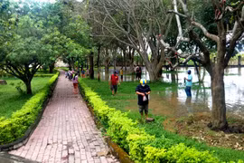 Người dân đổ xô bắt dế tại khu vực Ngục Kon Tum