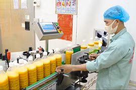 Doanh nghiệp phục hồi và đẩy mạnh sản xuất kinh doanh