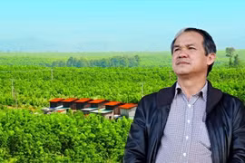 Giá cao su tăng 40% sau hai tháng:Không có 'phép màu' nào cho bầu Đức
