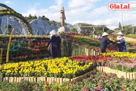 Pleiku: Tất bật hoàn thành đường hoa Xuân