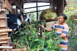 Chư Pưh: Quan tâm đào tạo nghề cho lao động nông thôn