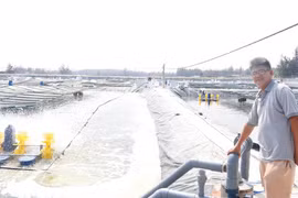 Chuyện ít biết về anh trai tỉ phú Thaco