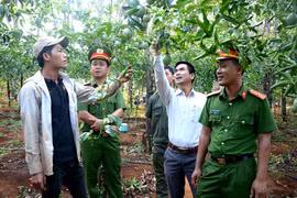 Giúp người chấp hành xong án phạt tù tái hòa nhập cộng đồng
