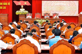 Xây dựng Gia Lai phát triển nhanh, bền vững