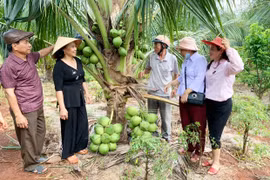 Chư Pưh: Tuổi cao nêu gương sáng