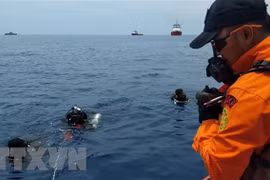 Indonesia: Tìm thấy bộ phận hạ cánh của máy bay rơi xuống biển