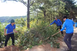 Ra quân dọn dẹp vệ sinh khu vực Biển Hồ