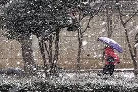 Tuyết rơi dày làm ảnh hưởng cuộc sống của người dân Hàn Quốc