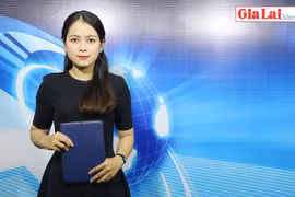 Gia Lai 48h: Làm rõ vụ bàn giao gỗ tang vật vùng giáp ranh