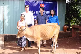Chi đoàn Báo Gia Lai: Sửa nhà, tặng bò cho 4 bà cháu nghèo