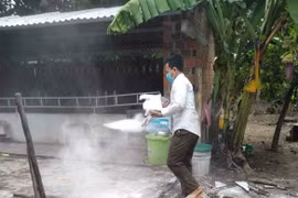 Ia Pa: Công bố hết dịch tả lợn châu Phi tại 2 xã Kim Tân và Pờ Tó