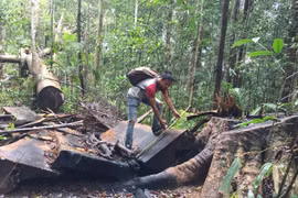 Khởi tố vụ phá rừng ở vùng giáp ranh