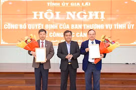 Gia Lai: Công bố quyết định của Ban Thường vụ Tỉnh ủy về công tác cán bộ
